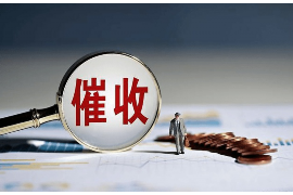 泰州为什么选择专业追讨公司来处理您的债务纠纷？